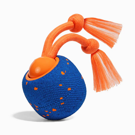 🔥2026 New Release - 50% OFF - RolloPaw™ Interactive Pet Toy Ball: Automatic Self-Moving Dog Toy for Boredom & Mental Stimulation 🐾 Quiet & Gentle on Teeth ✨